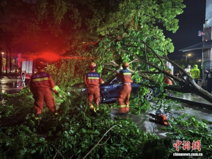Bão lớn càn quét, Trung Quốc tiếp tục đón siêu bão Bavi tin tuc the gioi ngay hom nay - Bão lớn càn quét, Trung Quốc tiếp tục đón siêu bão Bavi